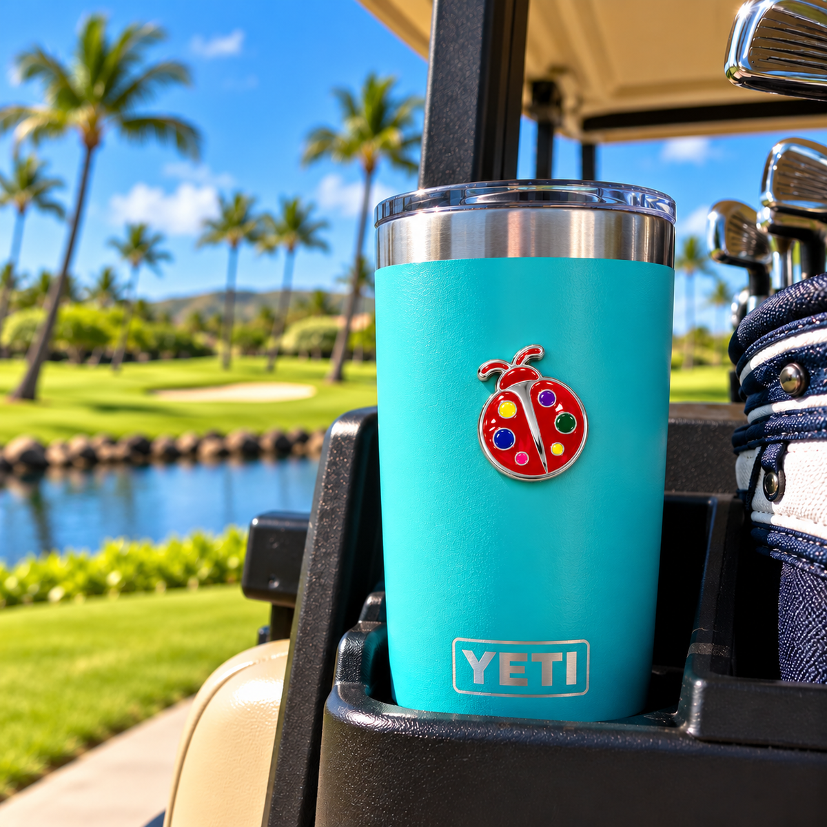 Ko Olina Multi-Color Ladybug Metal Magnet
